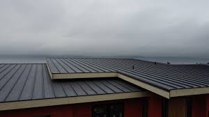 Fast & Reliable Emergency Roof Repairs in Arcola, TX